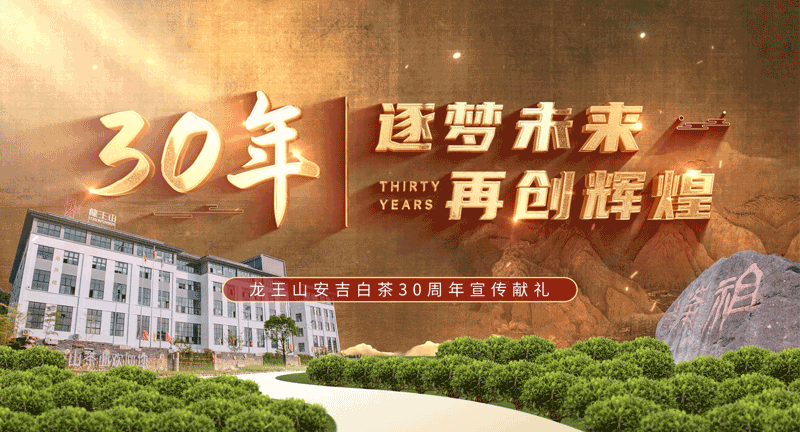 企业宣传片—龙王山安吉白茶30周年宣传片